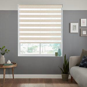 Rova Natural Zebra Blinds