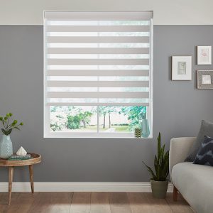 Galia Ash Zebra Blinds