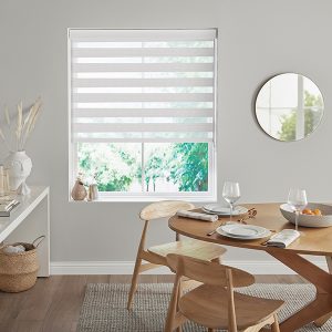 Fitz Silver Zebra Blinds