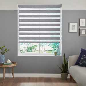 Fitz Steel Zebra Blinds