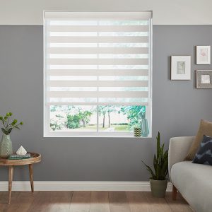 Eclid Cream Zebra Blinds