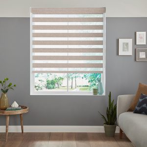 Dasil Ash Zebra Blinds