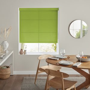 Dorian Kiwi Roller Blind